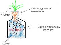 post-74199-1269178659,78_thumb.jpg