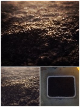Collage_20250901_144006.jpg